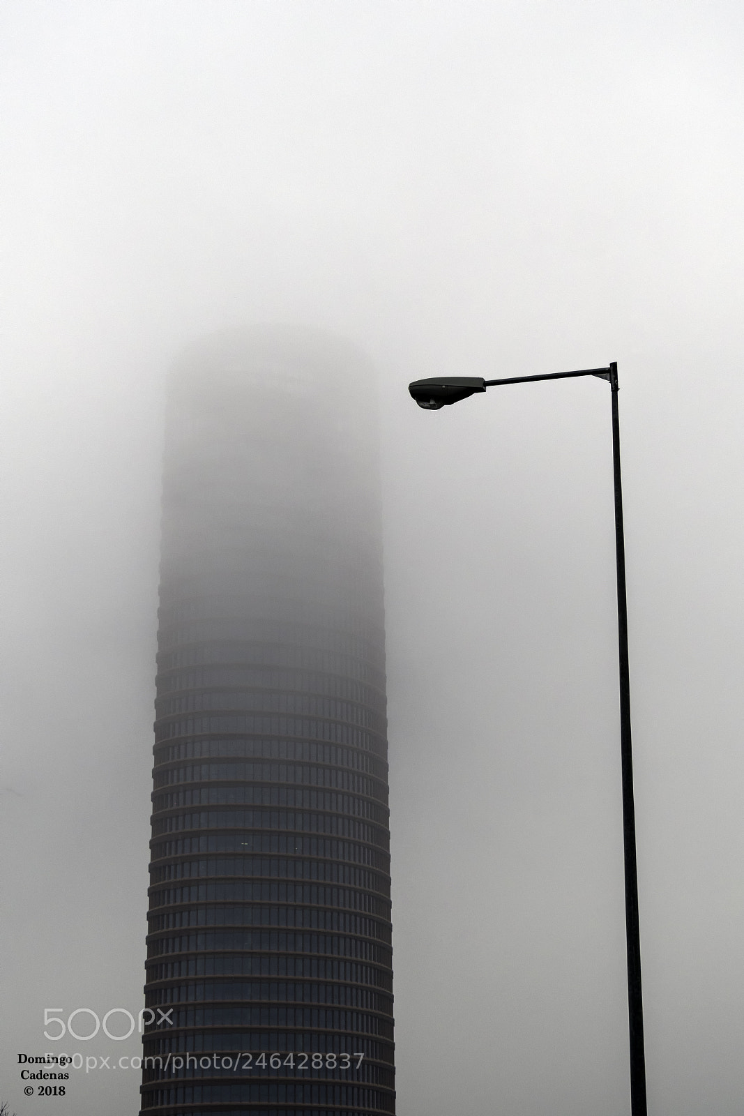 Olympus OM-D E-M10 II sample photo. Niebla photography