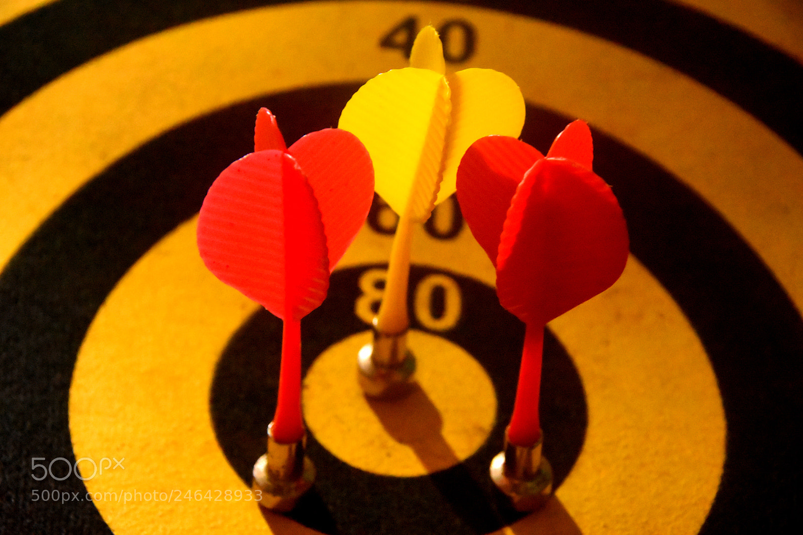 Nikon D7200 sample photo. Target photography