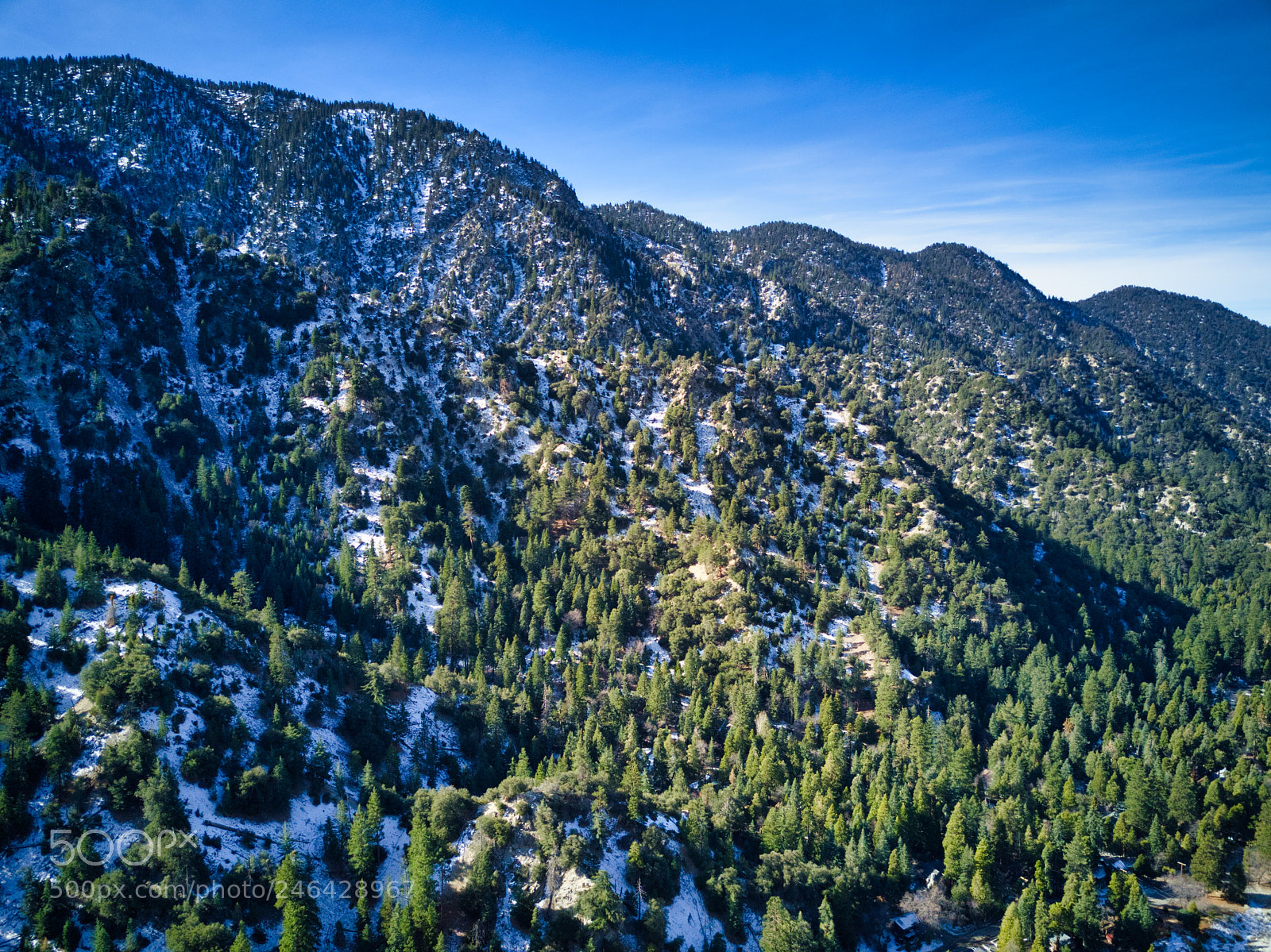 DJI FC220 sample photo. Forest falls - san photography