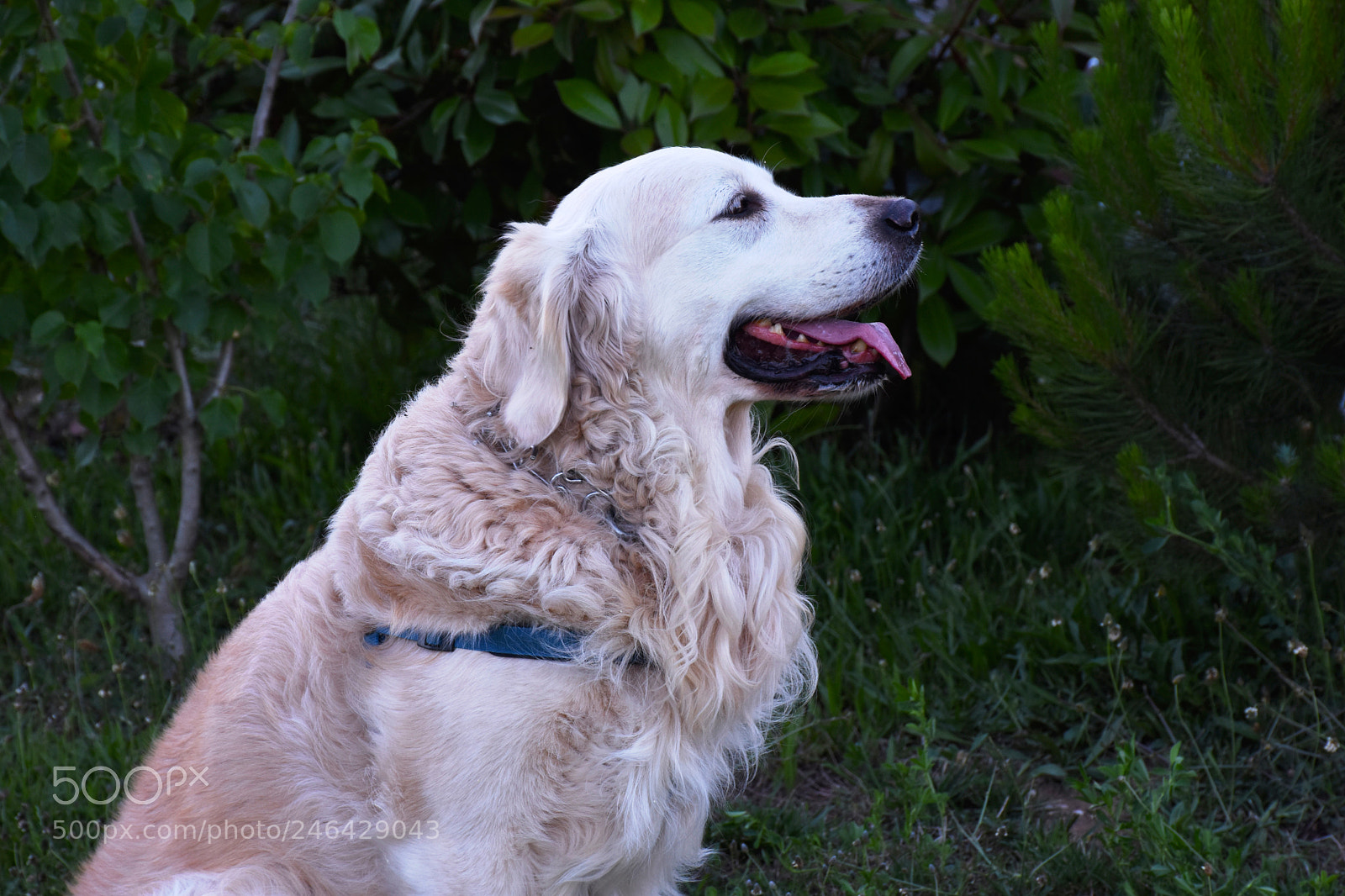 Nikon D7200 sample photo. 80.jpg photography