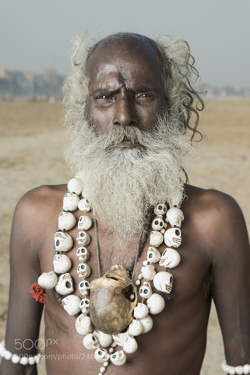 Canon EOS-1D X sample photo. Sadhu photography