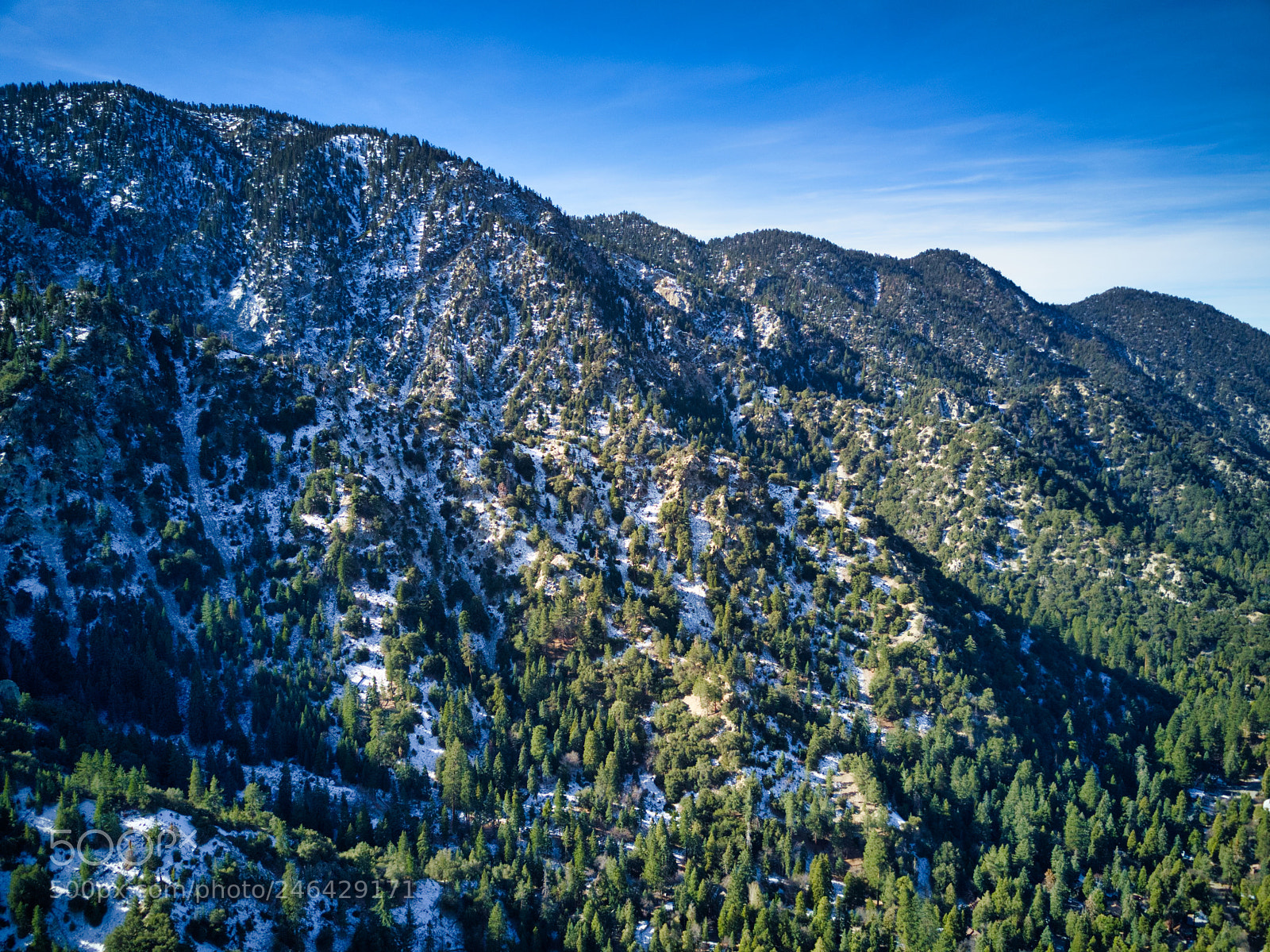 DJI FC220 sample photo. Forest falls - san photography