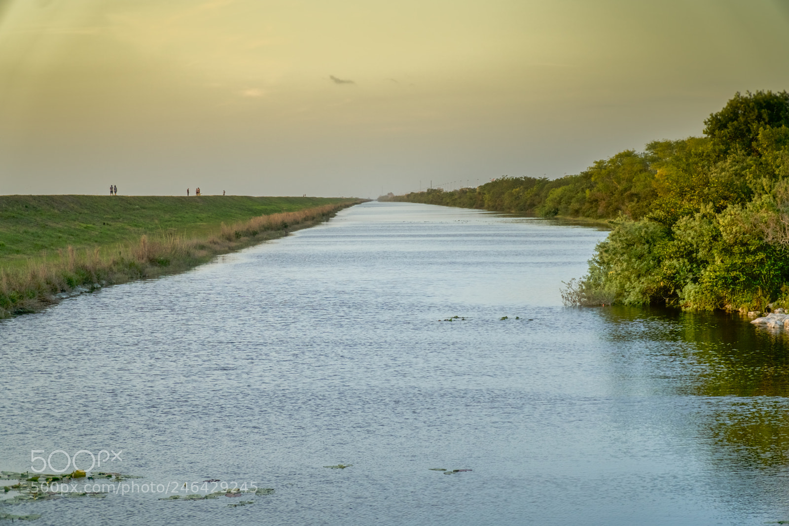 Sony a6300 sample photo. Everglades sunset photography