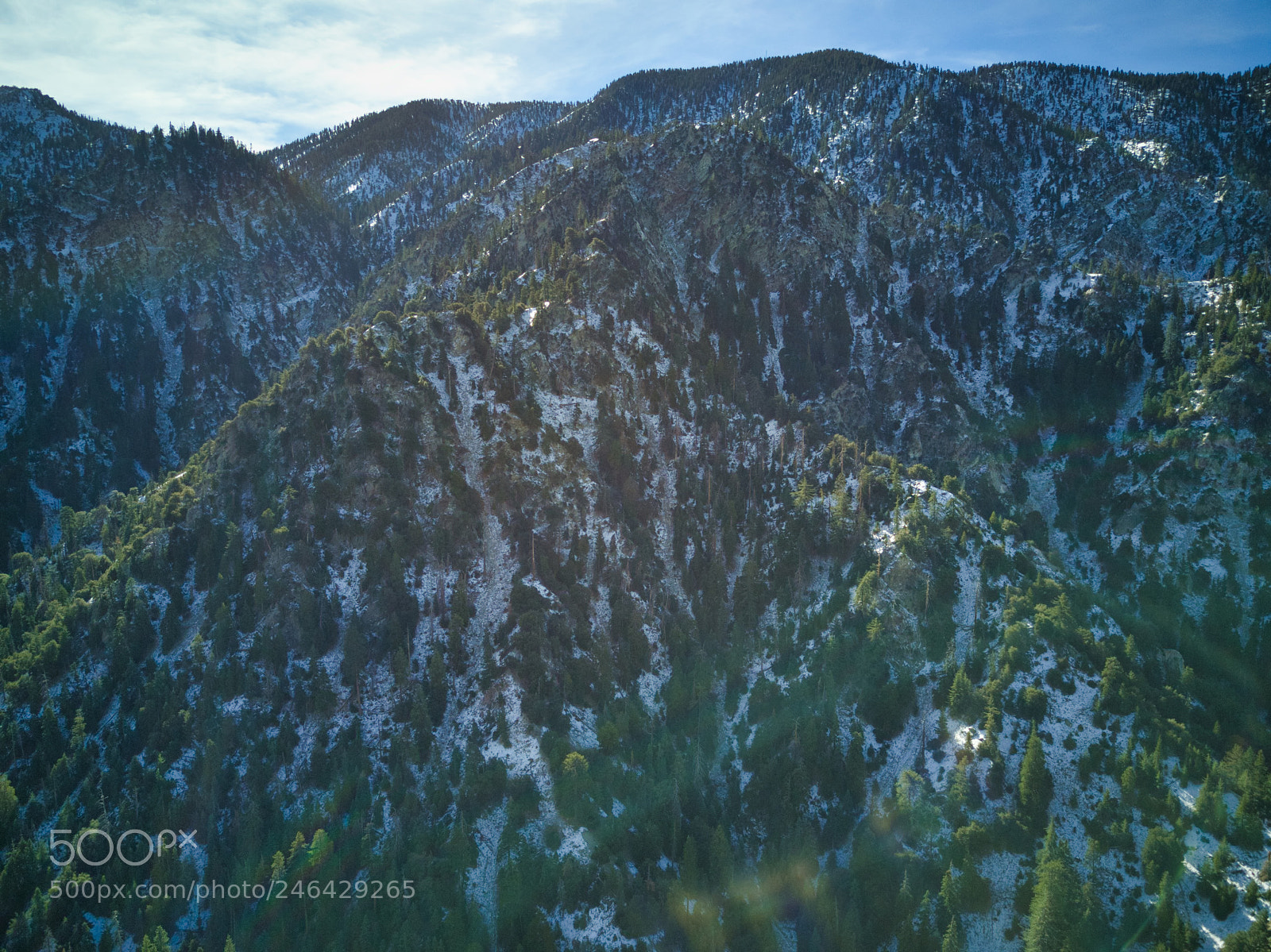 DJI FC220 sample photo. Forest falls - san photography