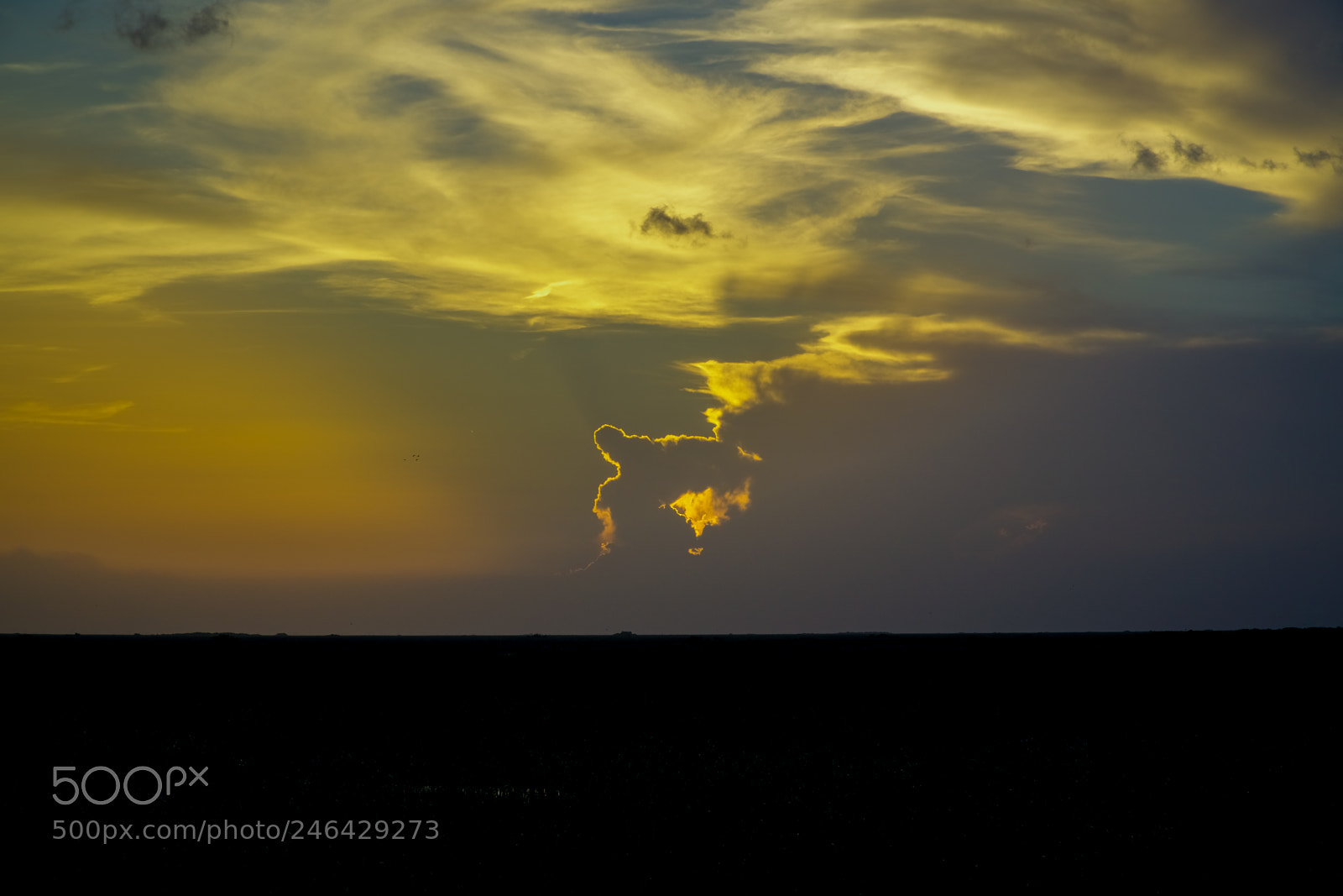 Sony a6300 sample photo. Everglades sunset photography