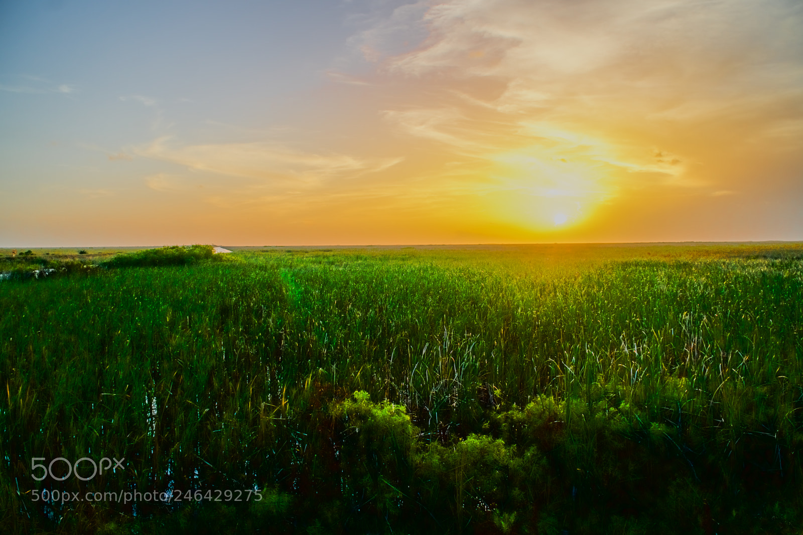 Sony a6300 sample photo. Everglades sunset photography
