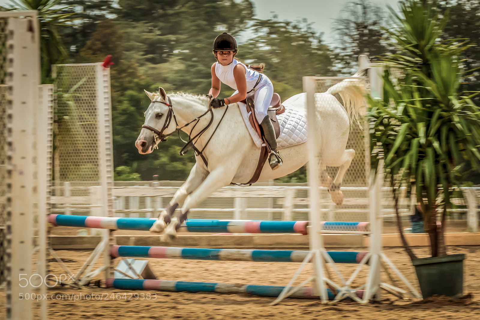 Canon EOS 7D sample photo. Photo by: andre oelofse photography