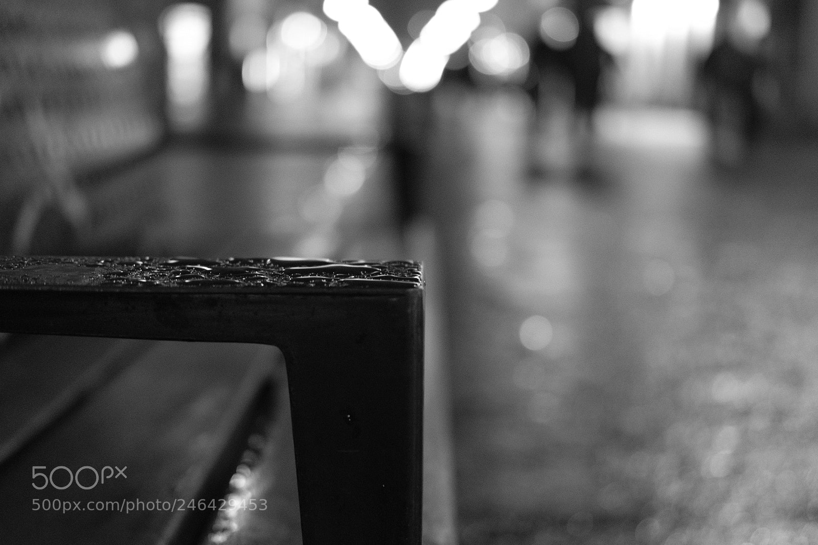 Fujifilm X-T2 sample photo. Untitled photography
