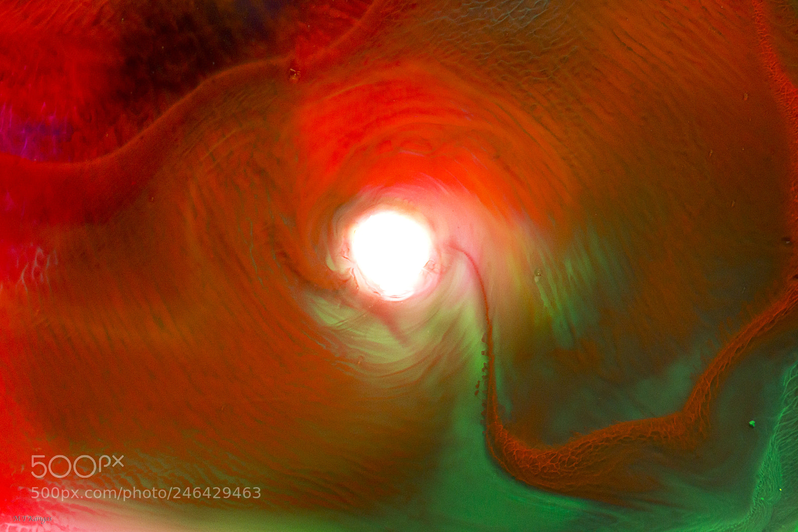 Nikon D610 sample photo. Wormhole photography