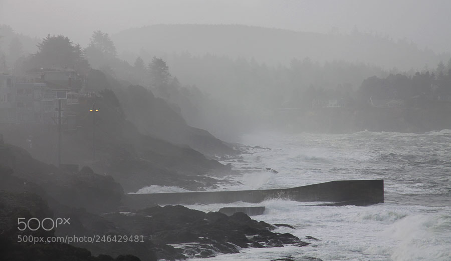 Canon EOS 50D sample photo. Foggy day, depoe bay photography