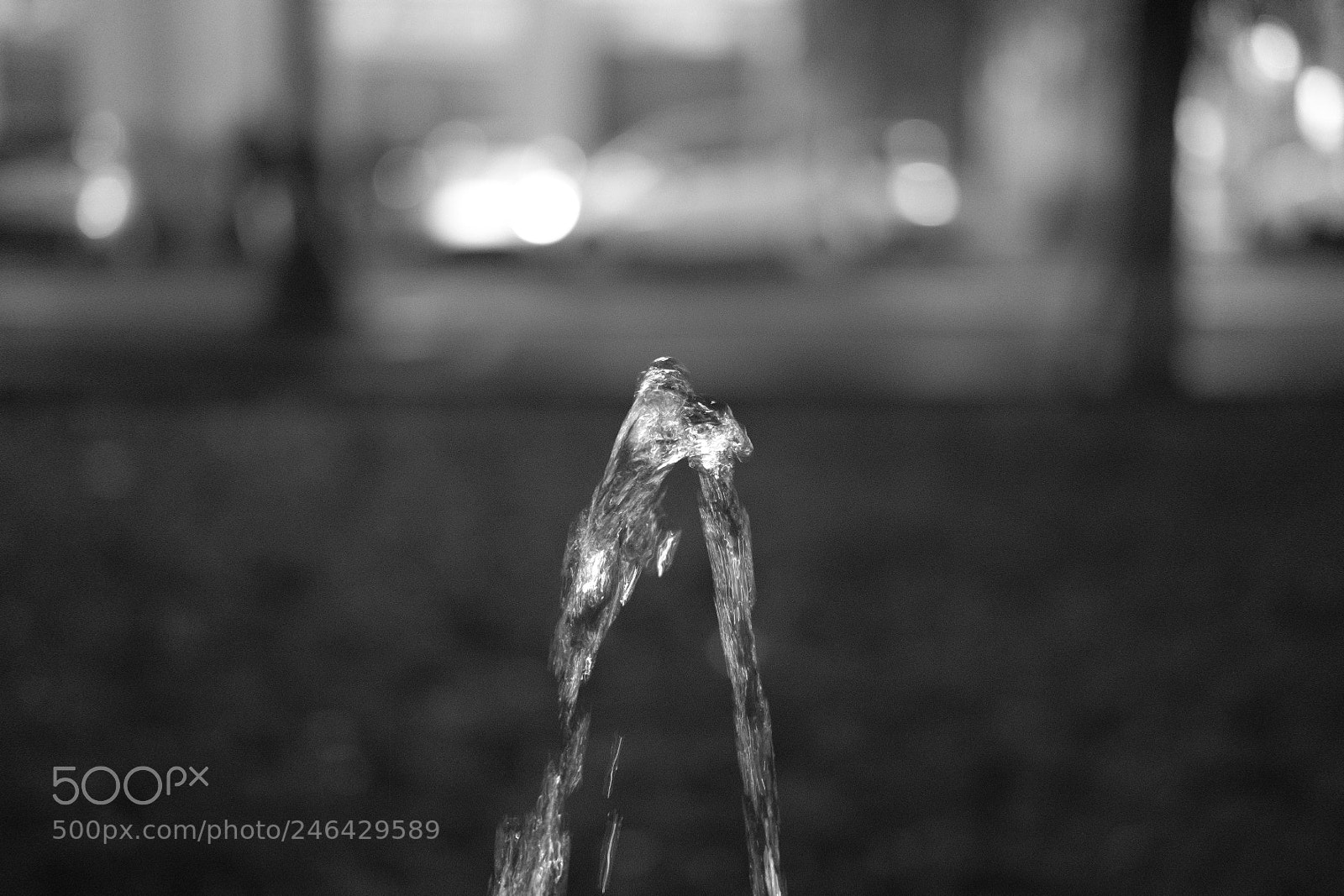 Fujifilm X-T2 sample photo. Untitled photography