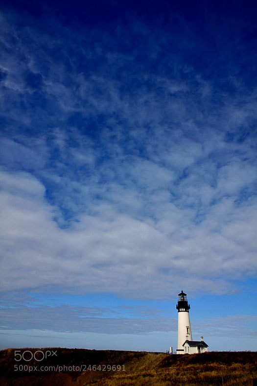 Canon EOS 50D sample photo. Yaquina bay light house photography