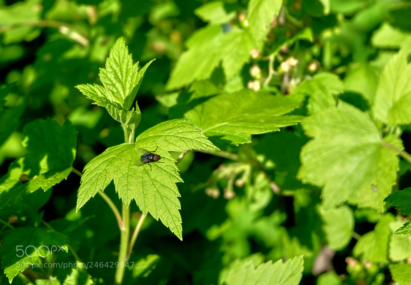 Fujifilm X-A3 sample photo. Тепло photography