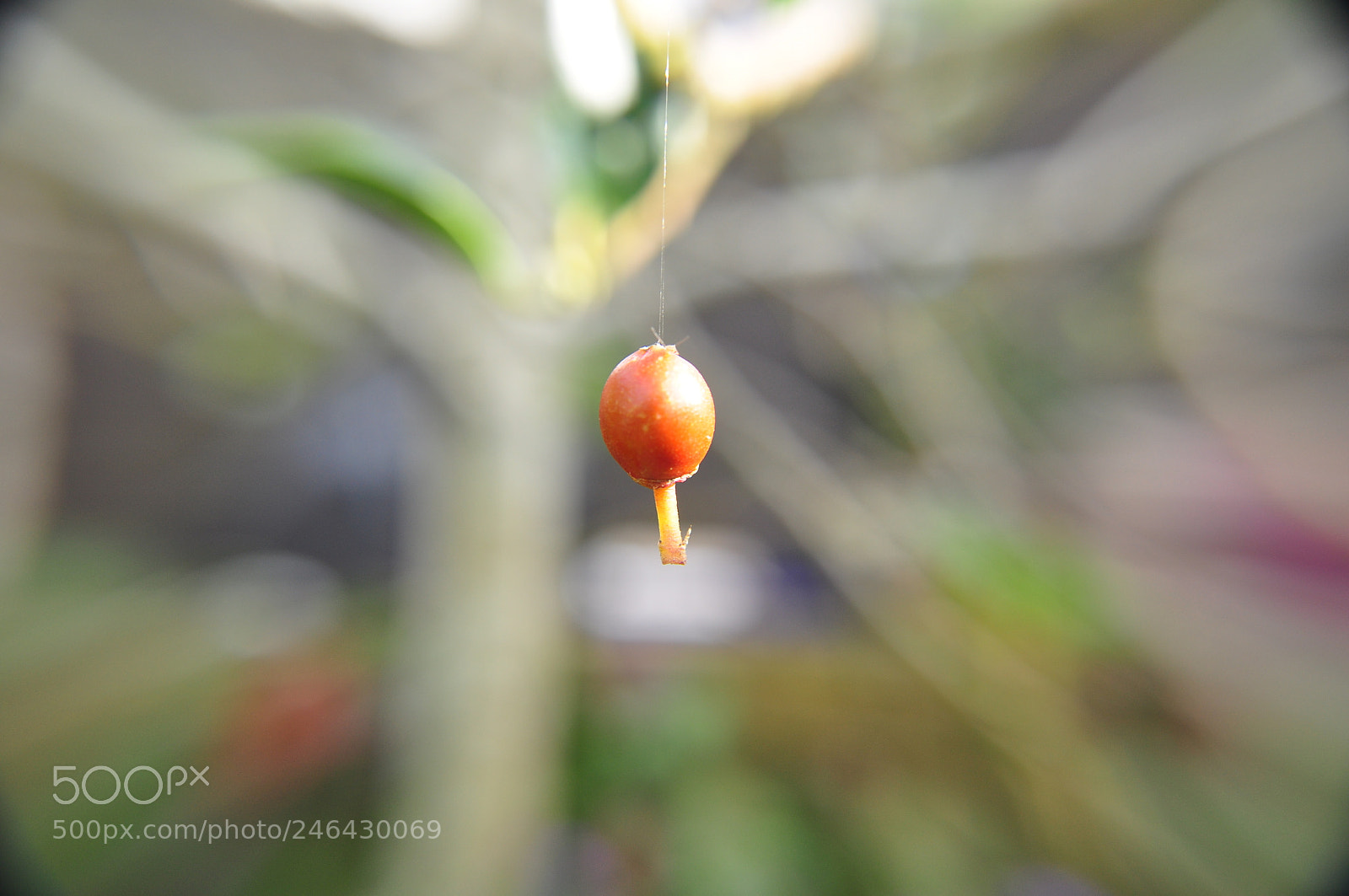 Nikon D90 sample photo. Hanging around photography