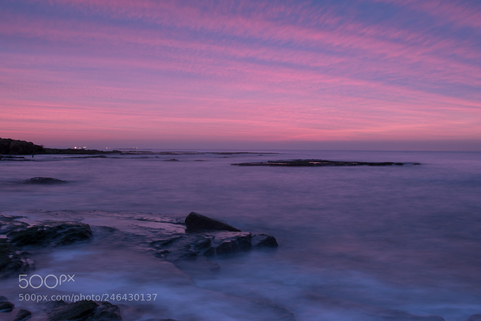 Nikon D5600 sample photo. Purple sunset photography