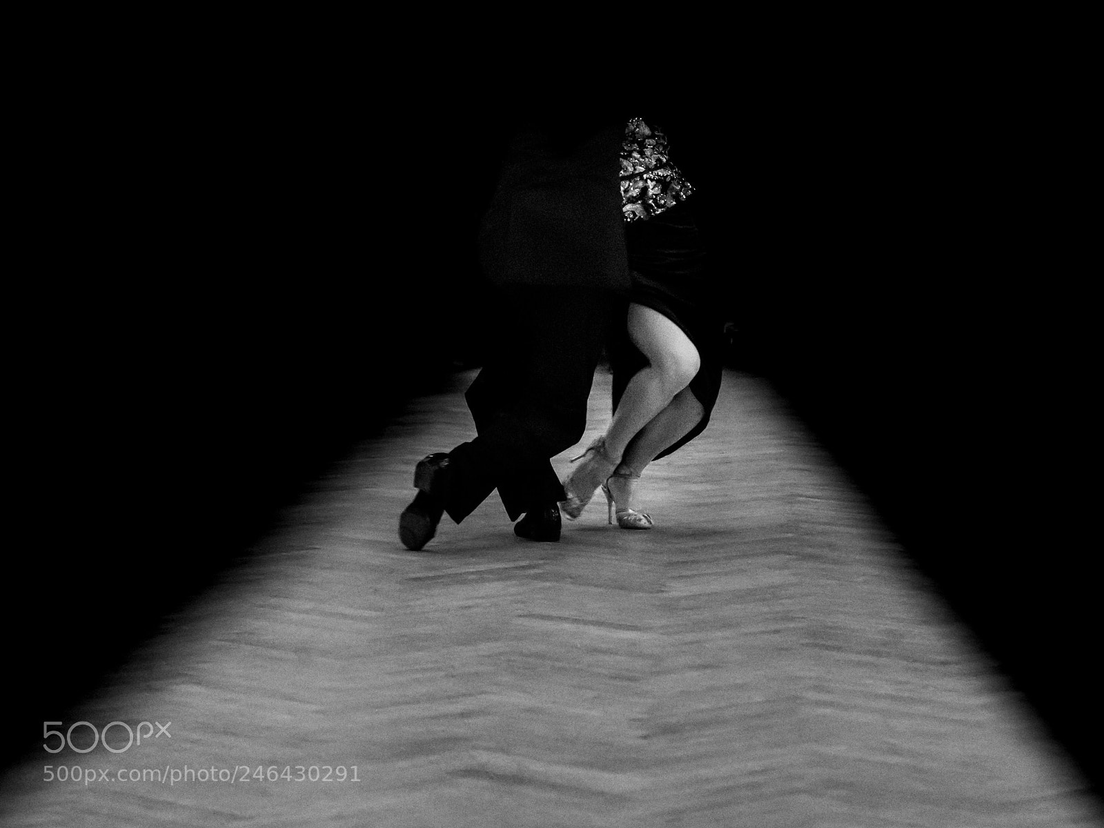 Nikon D850 sample photo. Tango in position photography