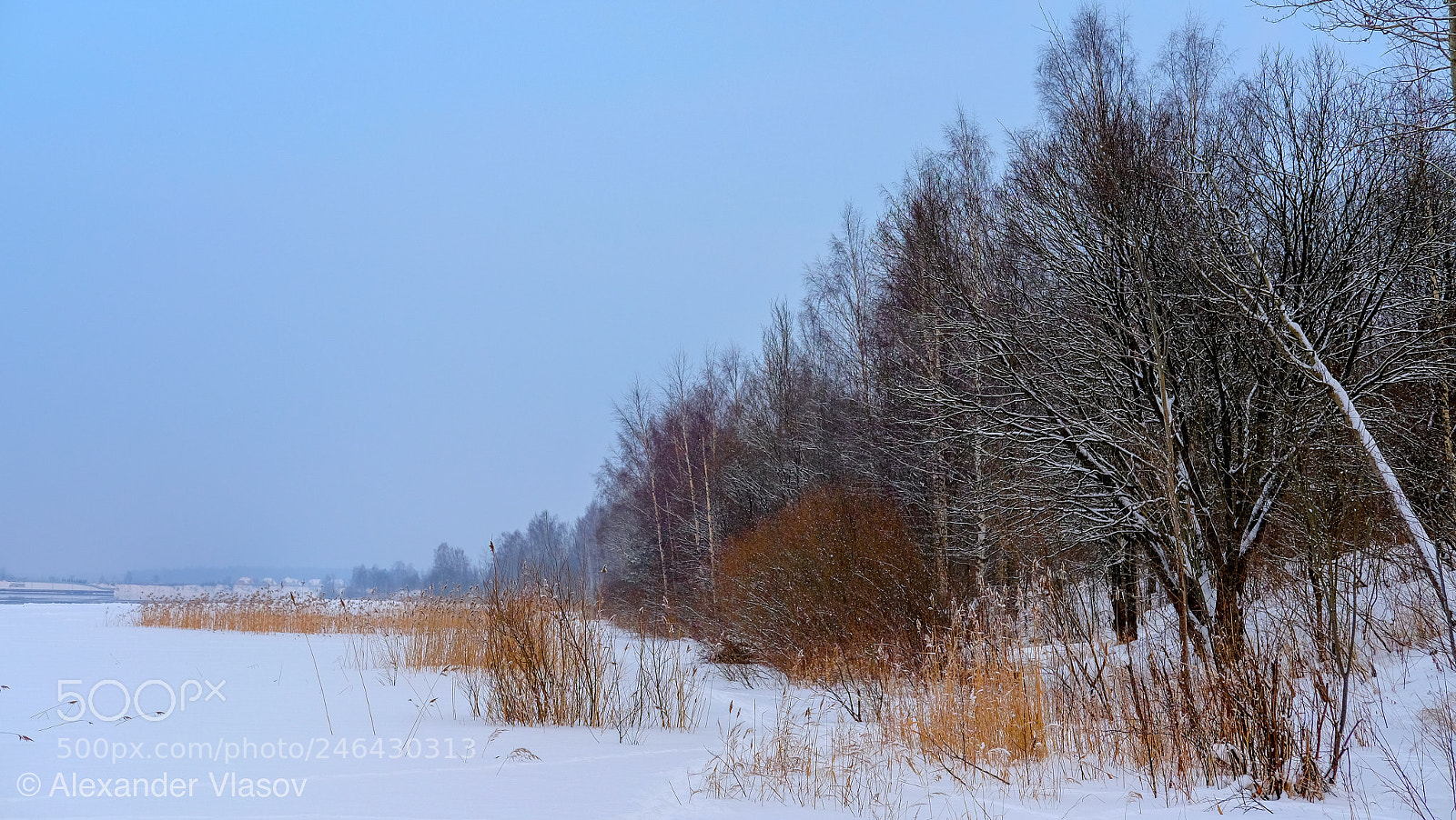 Fujifilm X-T10 sample photo. Зимний берег, река Нева, Ленинградская область photography