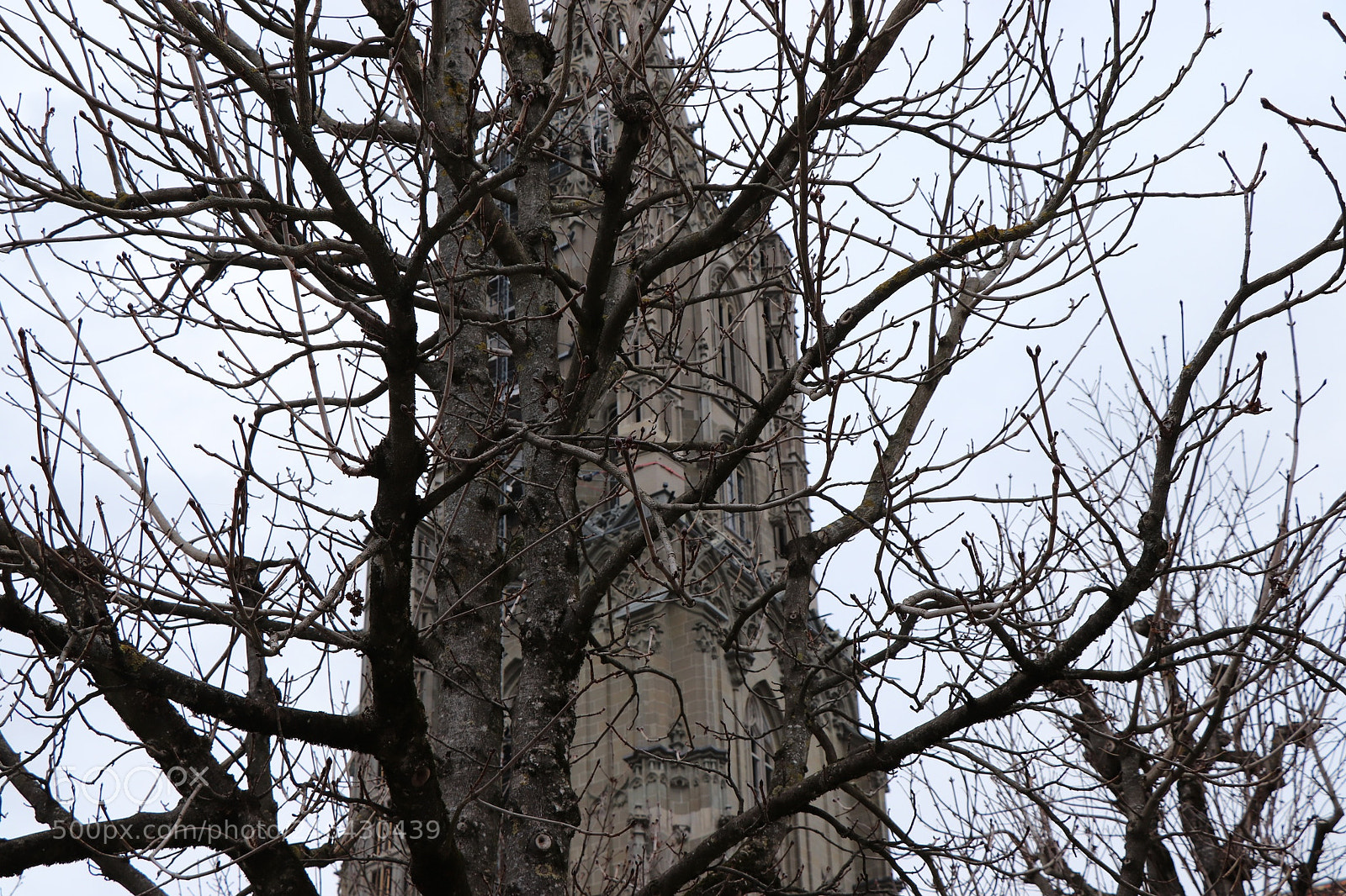 Canon EOS 77D (EOS 9000D / EOS 770D) sample photo. Untitled photography