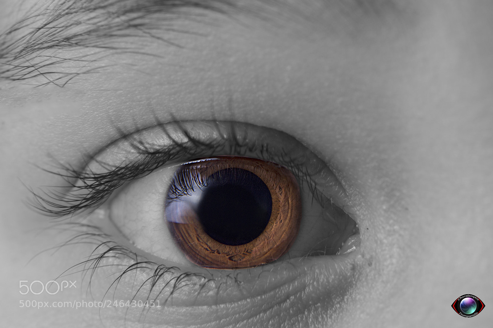 Canon EOS 700D (EOS Rebel T5i / EOS Kiss X7i) sample photo. Eye closeup photography