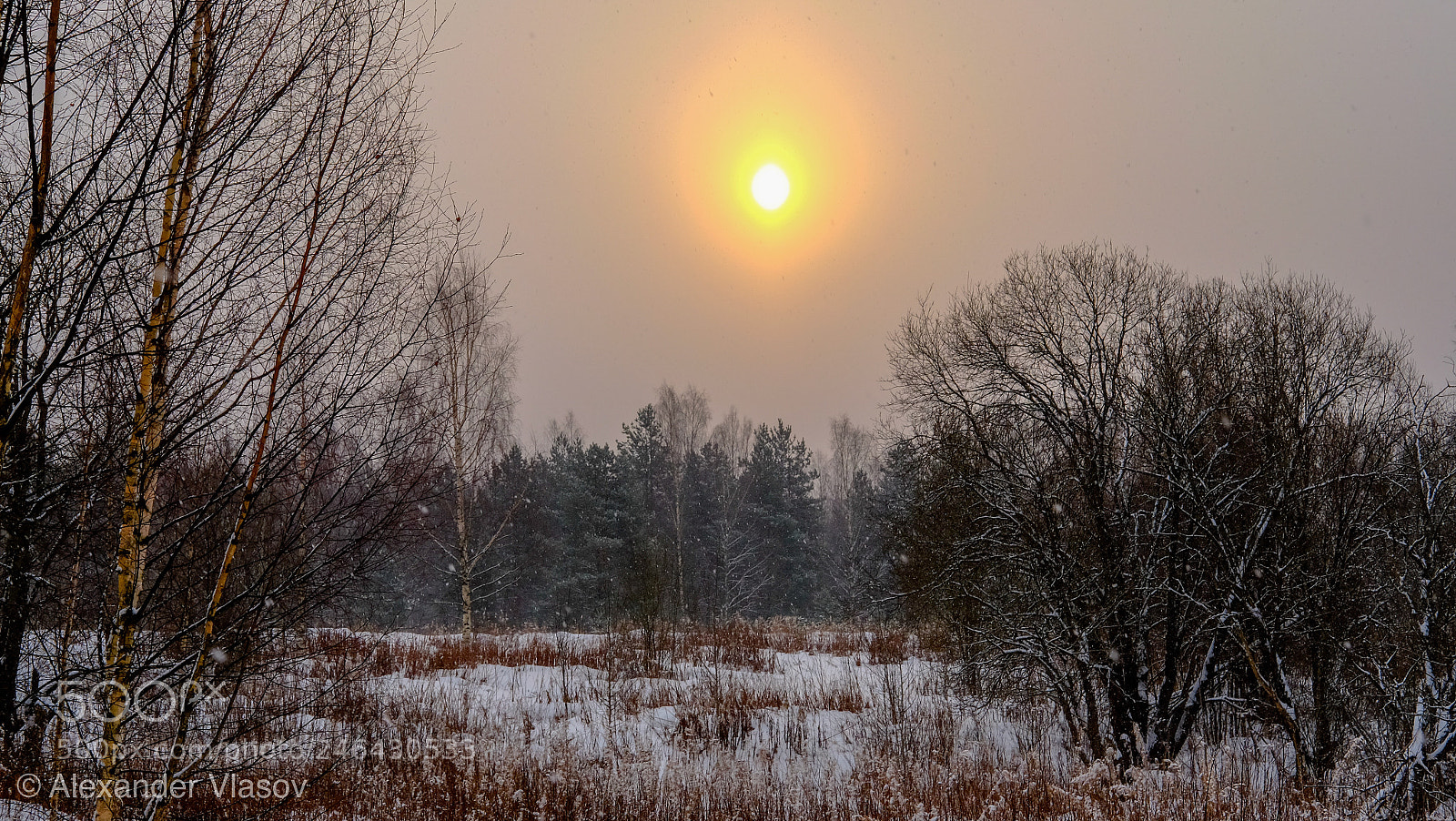 Fujifilm X-T10 sample photo. Снежное солнце photography