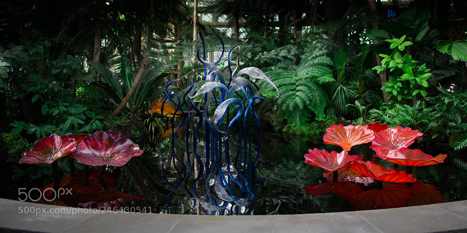Sony a99 II sample photo. Dale chihuly at the photography