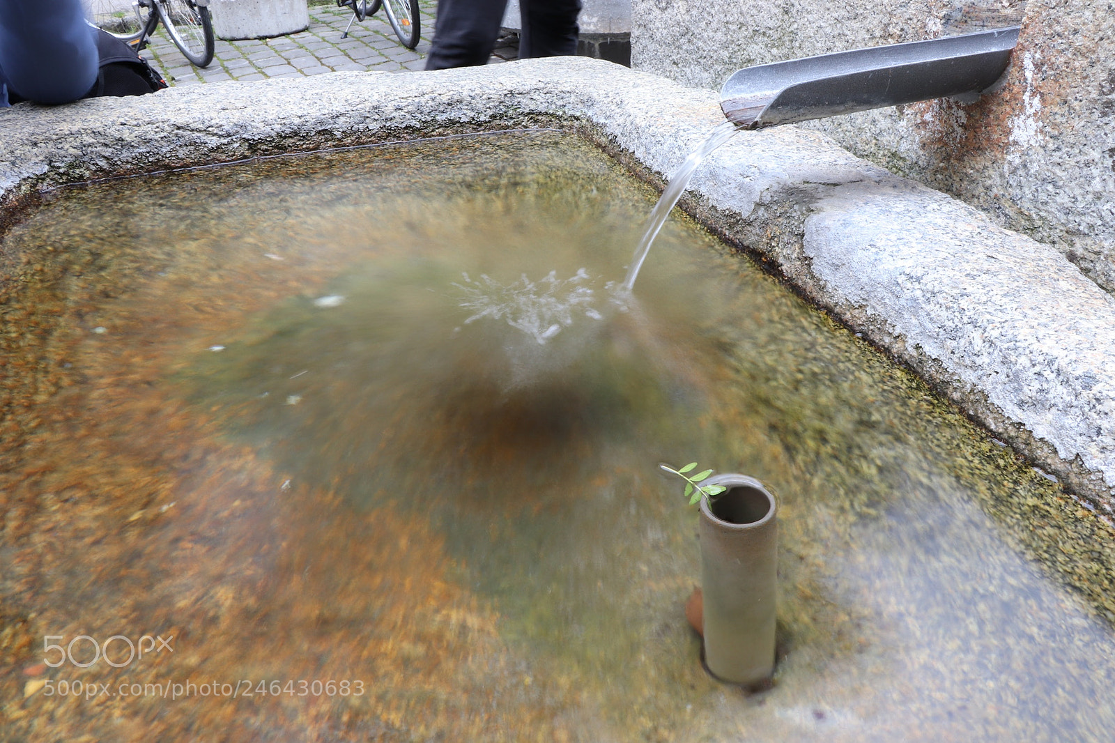 Canon EOS 77D (EOS 9000D / EOS 770D) sample photo. Untitled photography