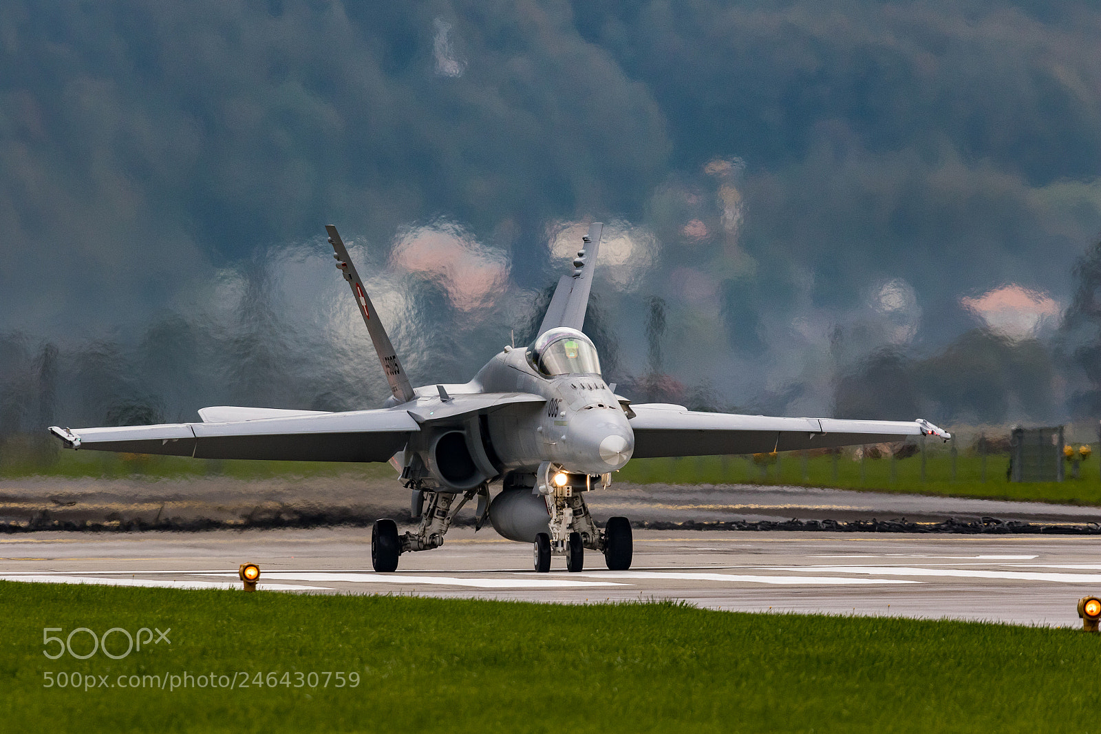 Canon EOS 7D Mark II sample photo. Swiss hornet take off photography