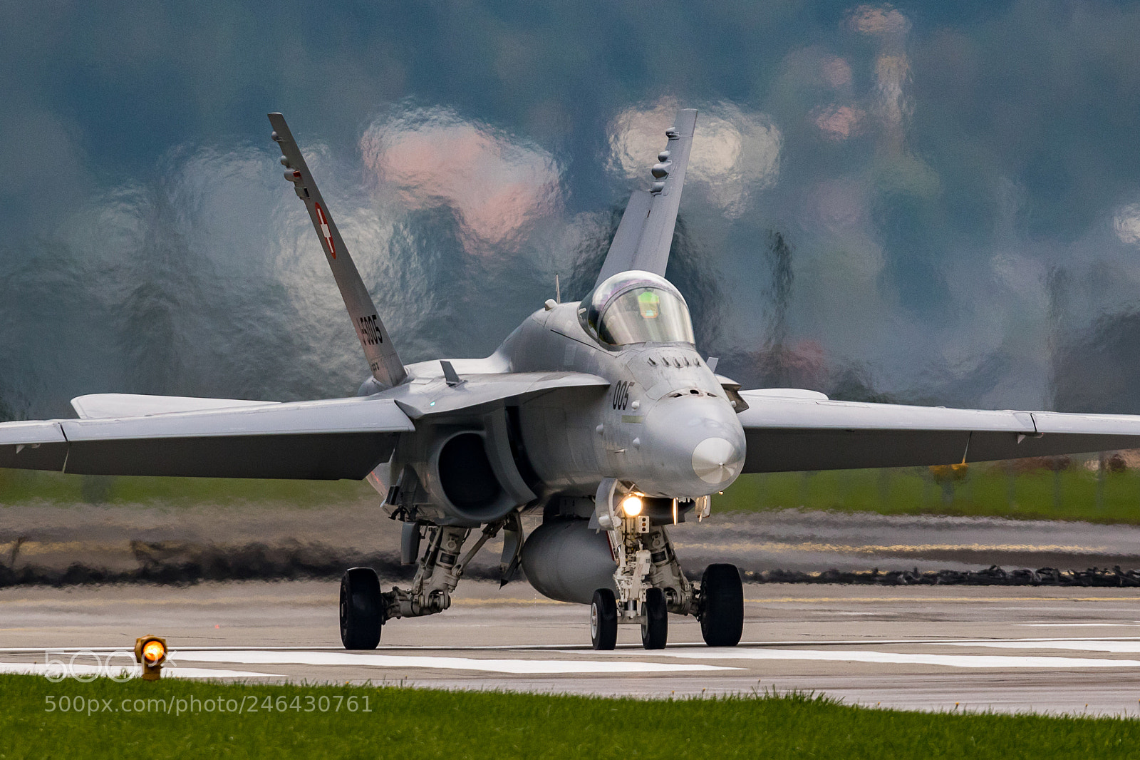 Canon EOS 7D Mark II sample photo. Swiss hornet take off photography