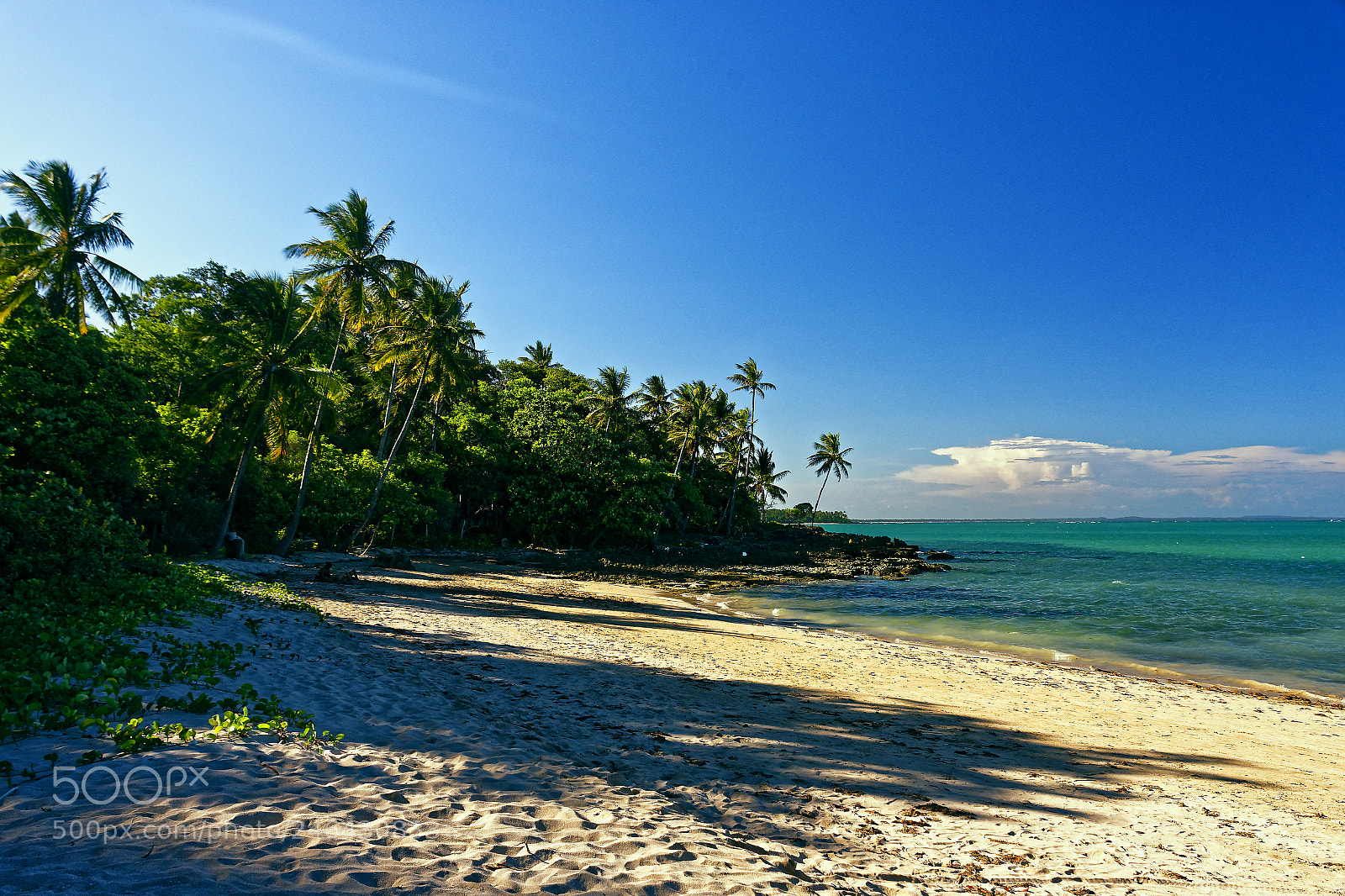 Nikon D7200 sample photo. Paradise photography