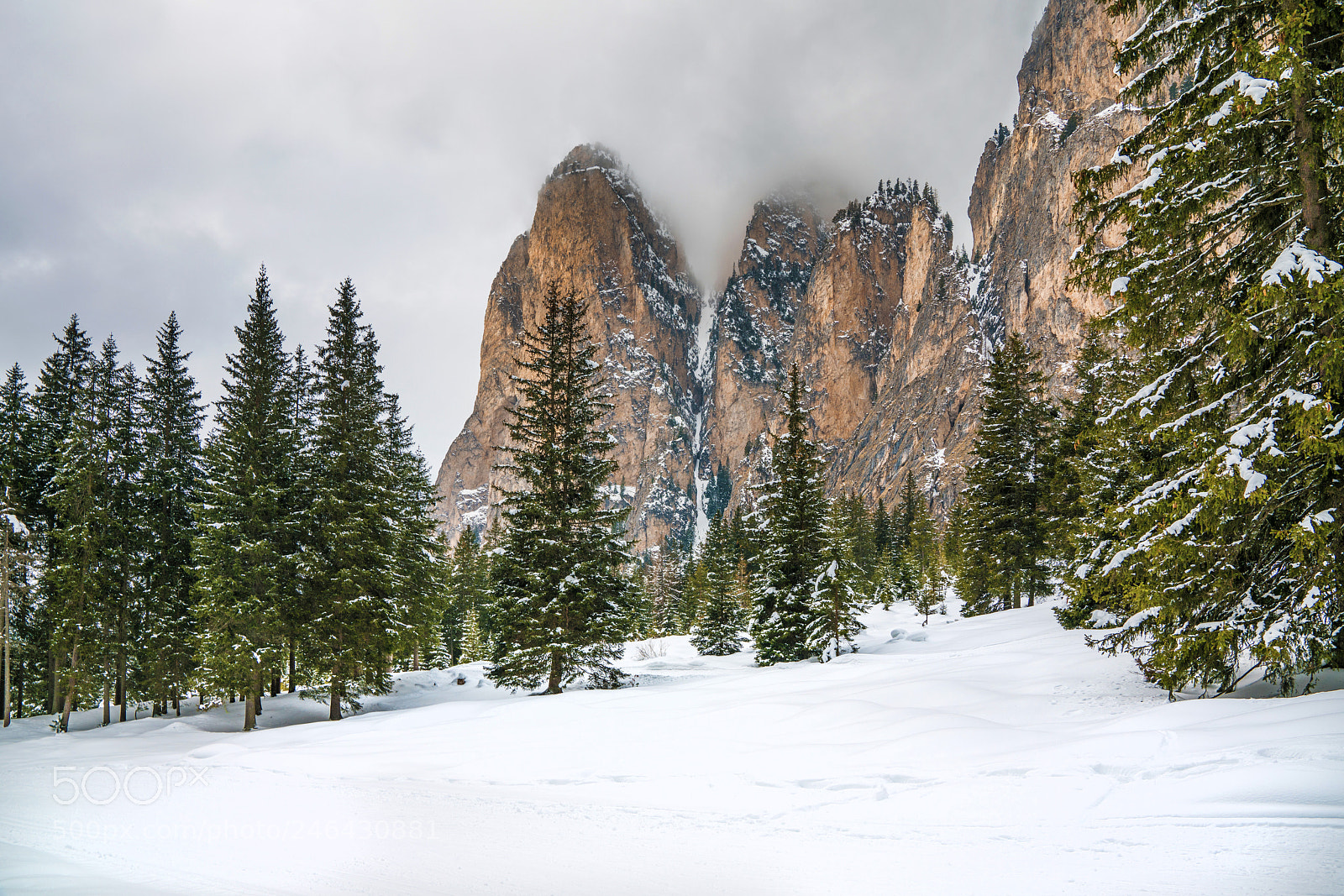 Sony a7R II sample photo. Silence photography