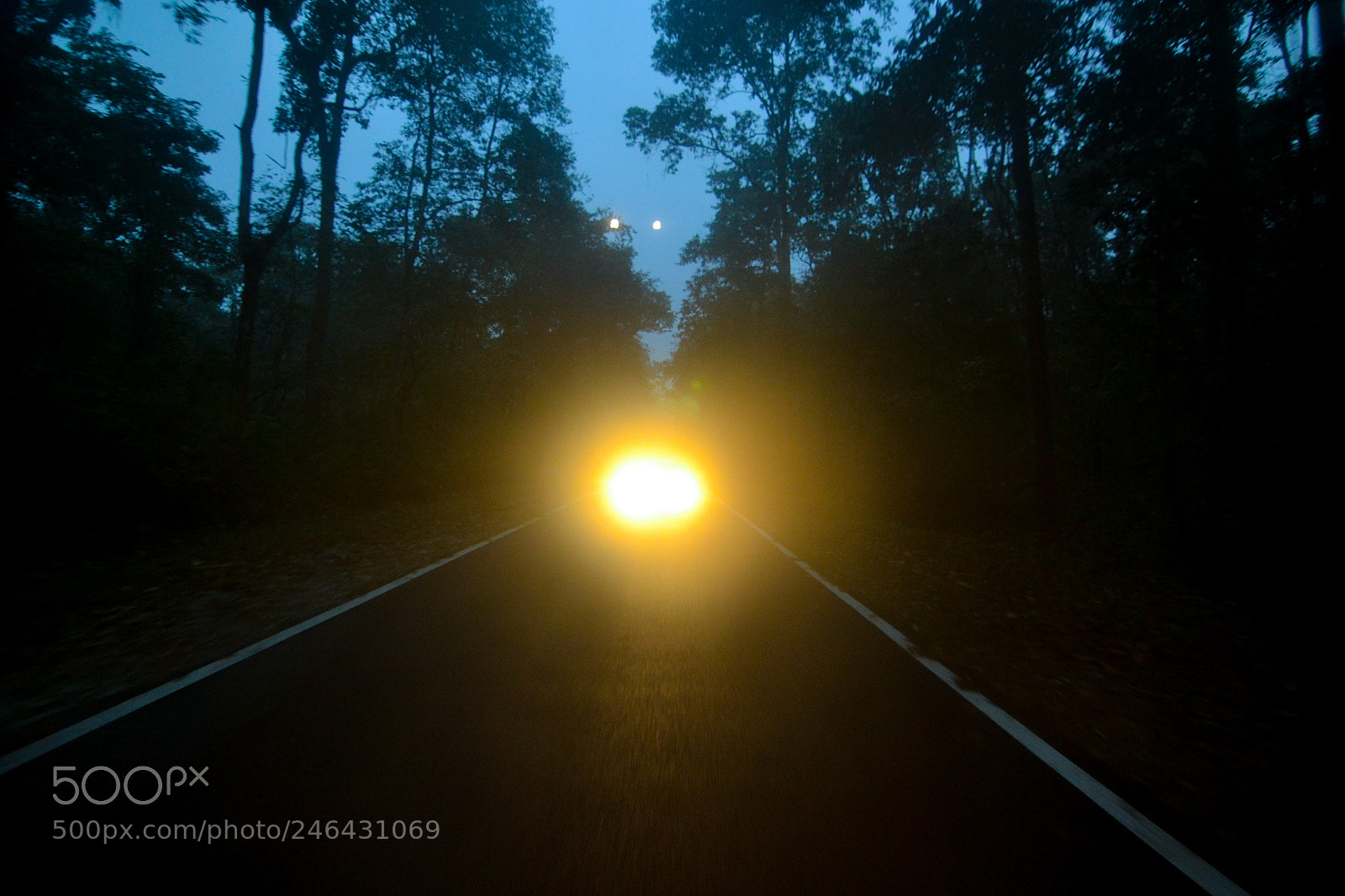 Nikon D3100 sample photo. Suddenly, in deep dark photography