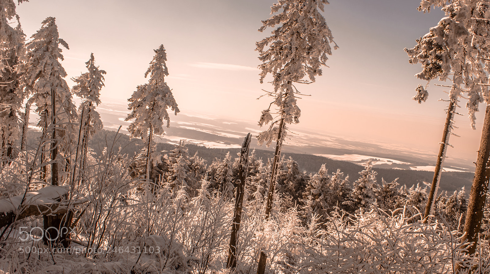 Canon EOS 600D (Rebel EOS T3i / EOS Kiss X5) sample photo. Snowy landscape photography