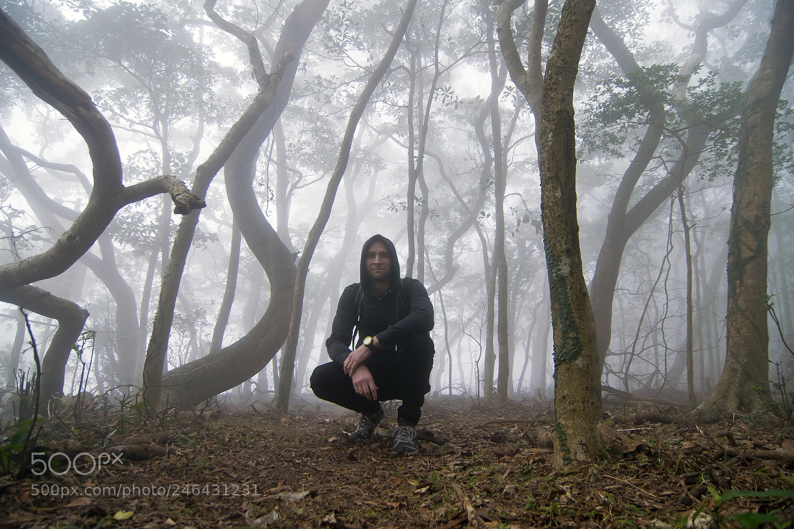 Nikon D90 sample photo. Magic forest photography