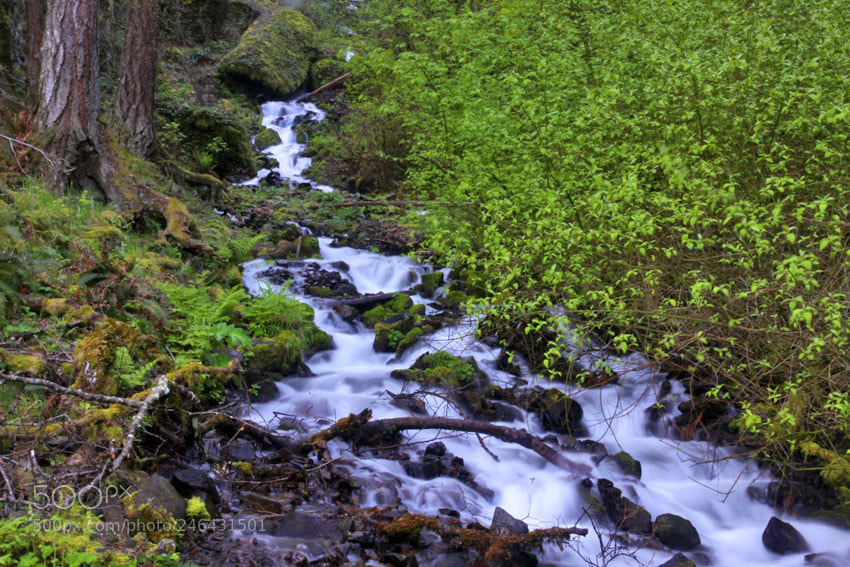 Canon EOS 50D sample photo. Wahkeena falls,  photography
