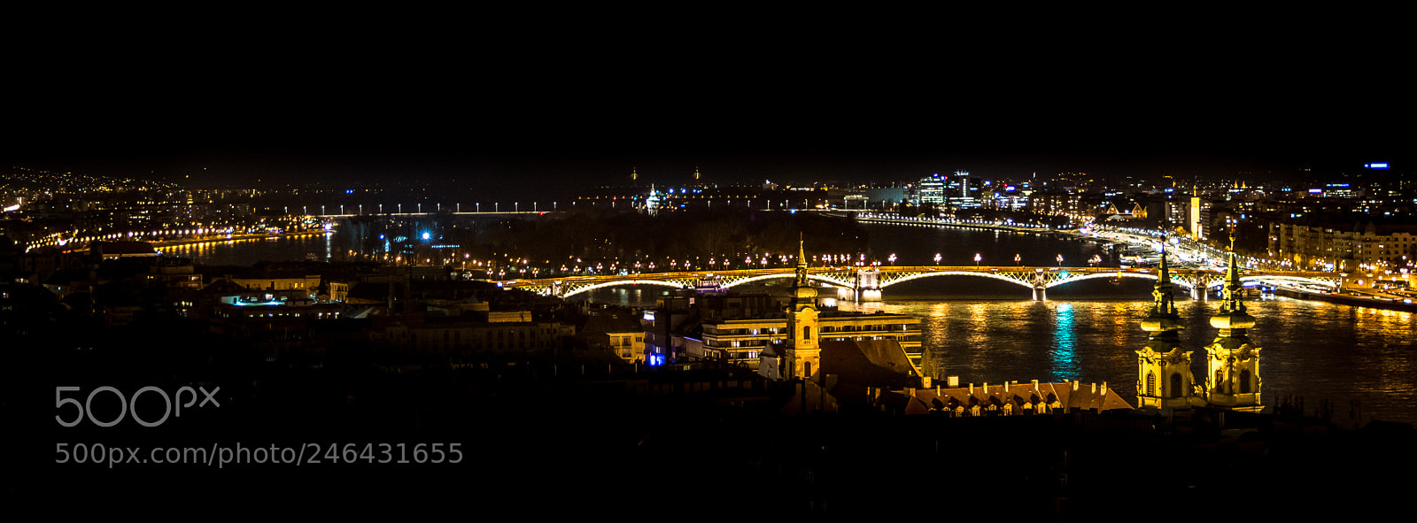 Nikon D7100 sample photo. Bridges over the danube photography