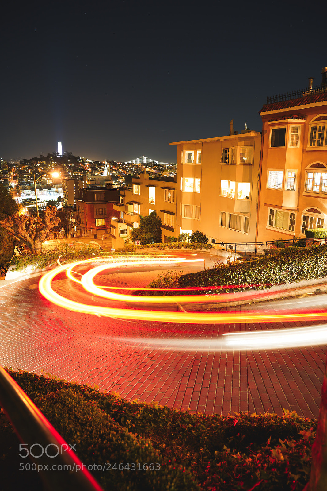 Sony a7R III sample photo. Lombard street, san francisco photography
