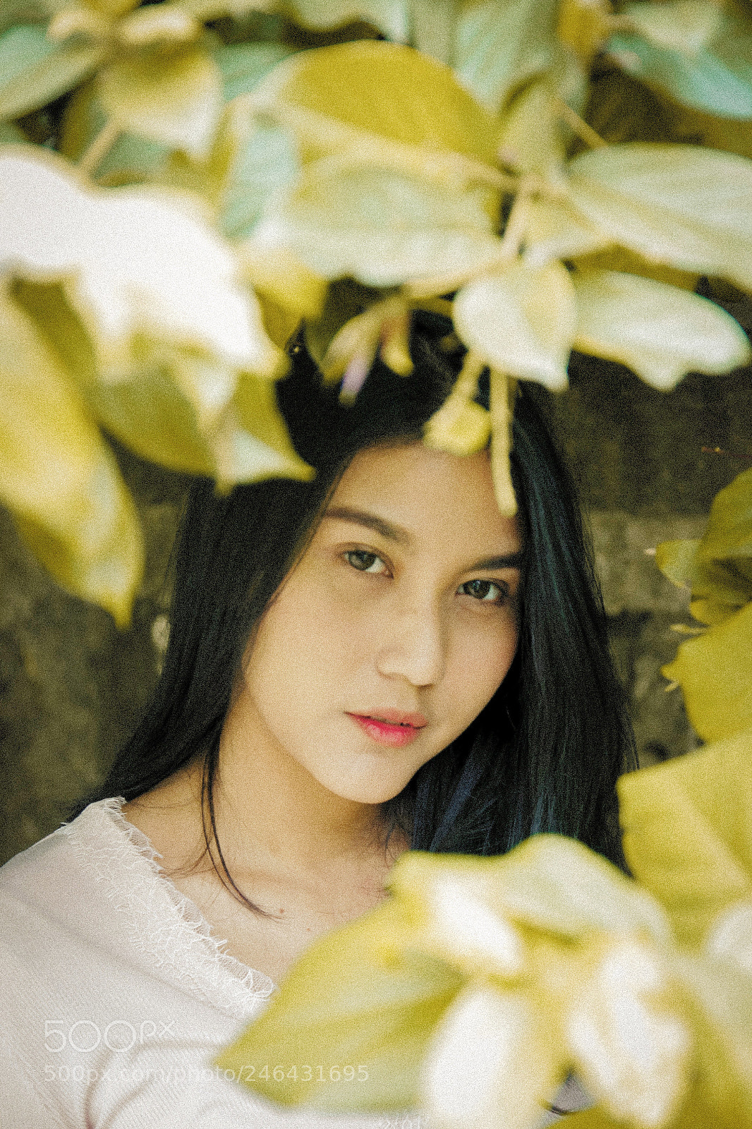 Canon EOS 60D sample photo. Could be one of photography