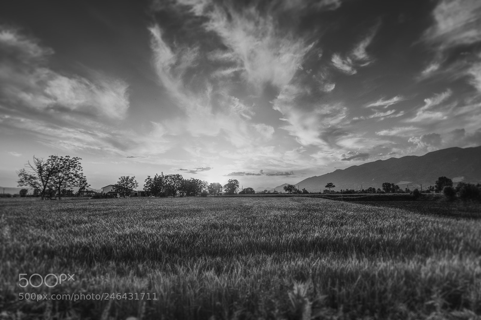 Nikon D90 sample photo. Landscape photography
