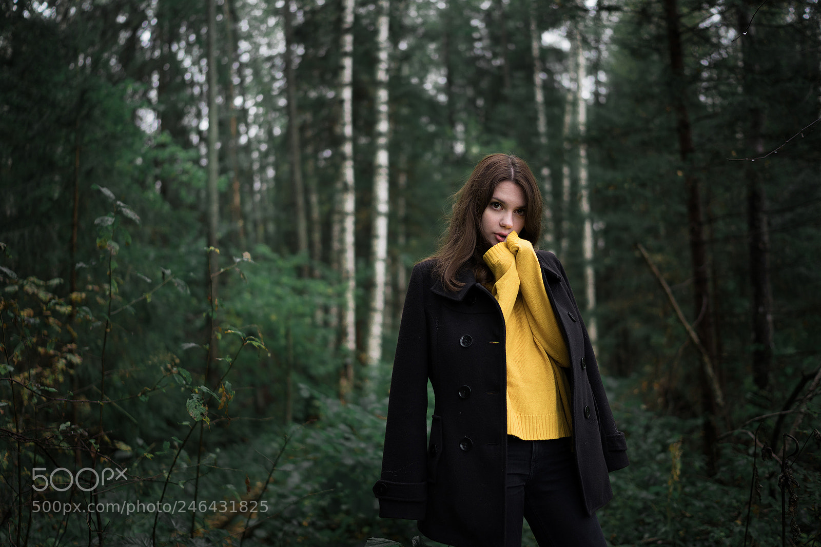 Sony a7 II sample photo. Liz photography