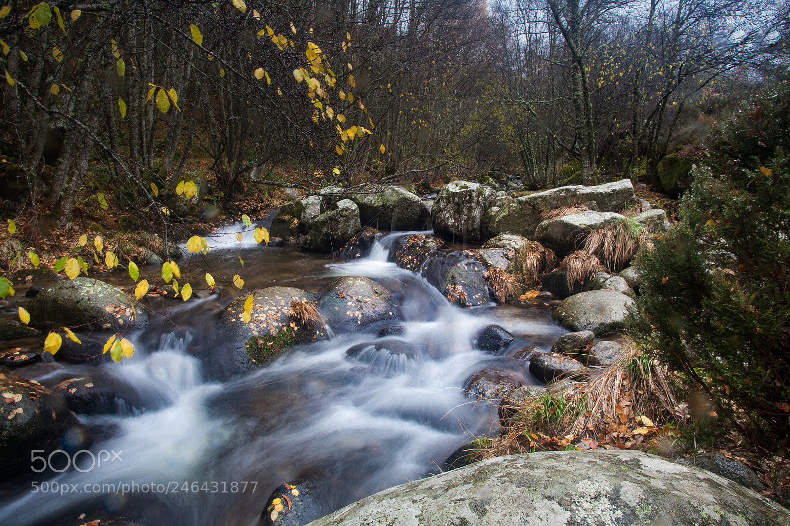 Canon EOS 5D sample photo. Like a river. photography