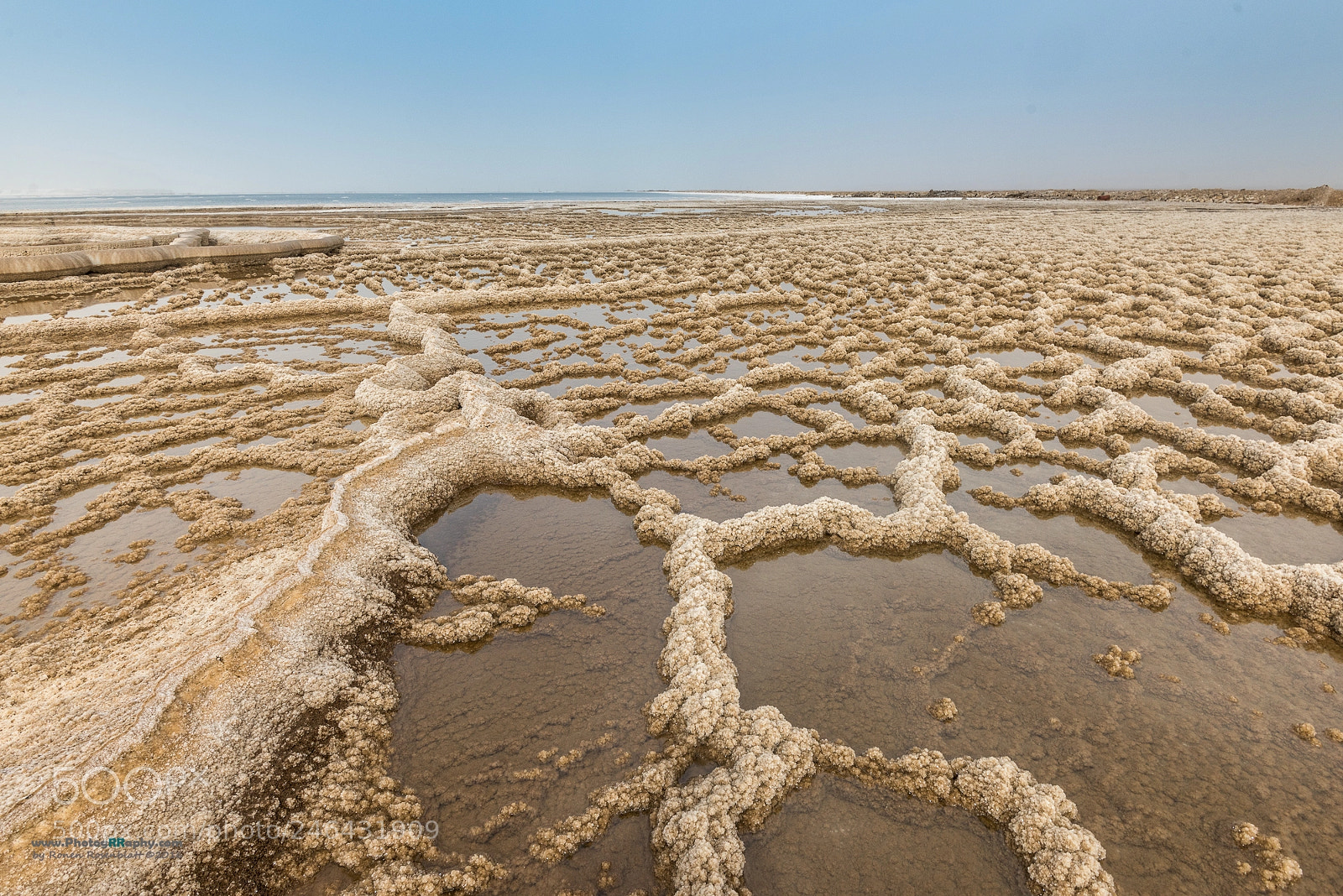 Nikon D810 sample photo. Dead sea with salt photography