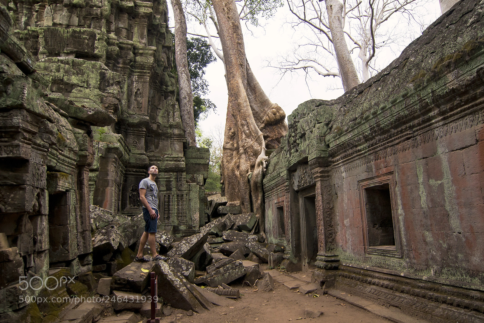 Nikon D90 sample photo. Ta prohm photography