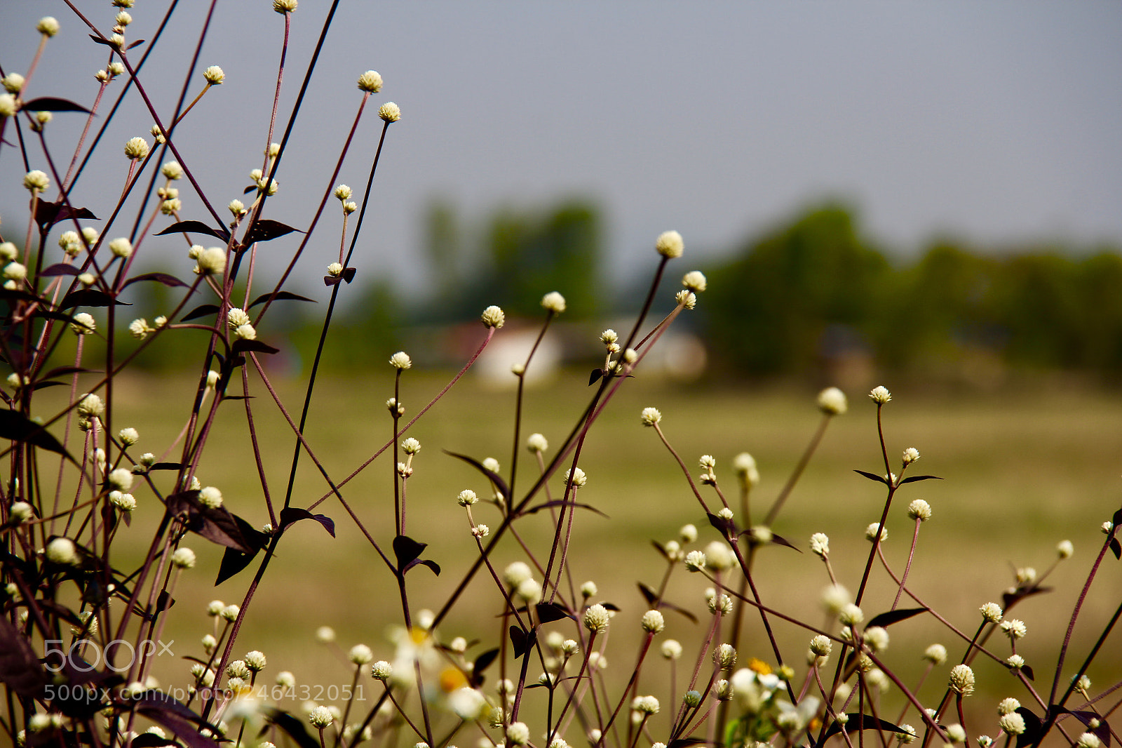 Canon EOS 60D sample photo. Untitled photography
