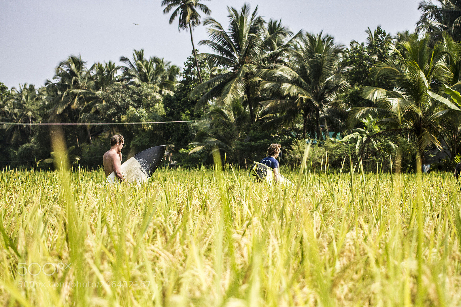 Canon EOS 7D sample photo. The search photography