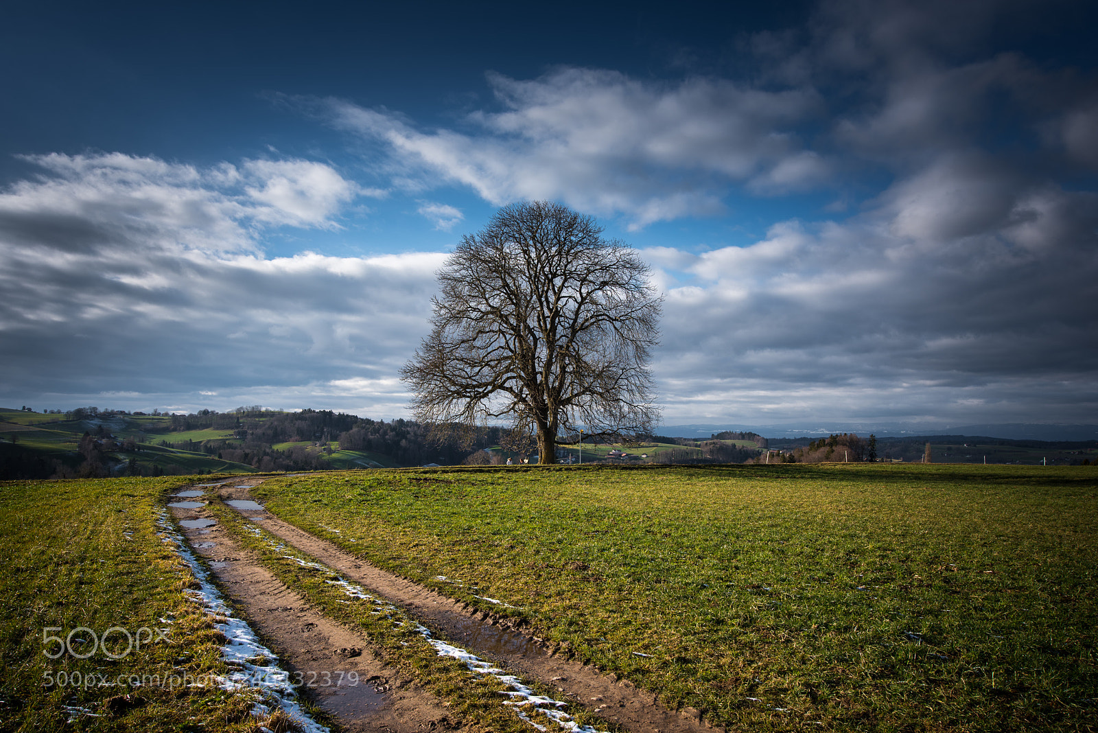 Nikon D810 sample photo. Winter afternoon photography