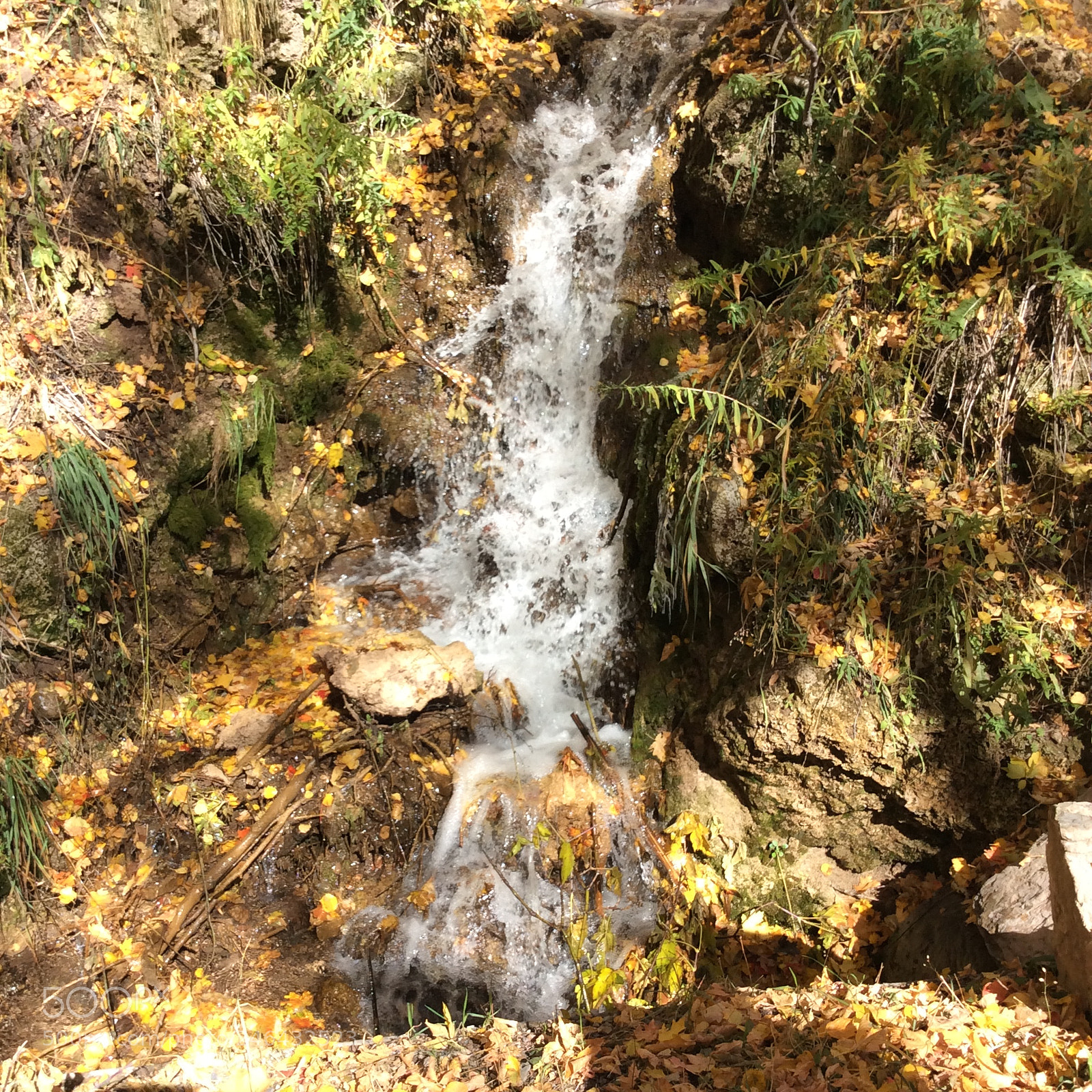 Apple iPad mini 2 sample photo. The beauty of nature ? photography