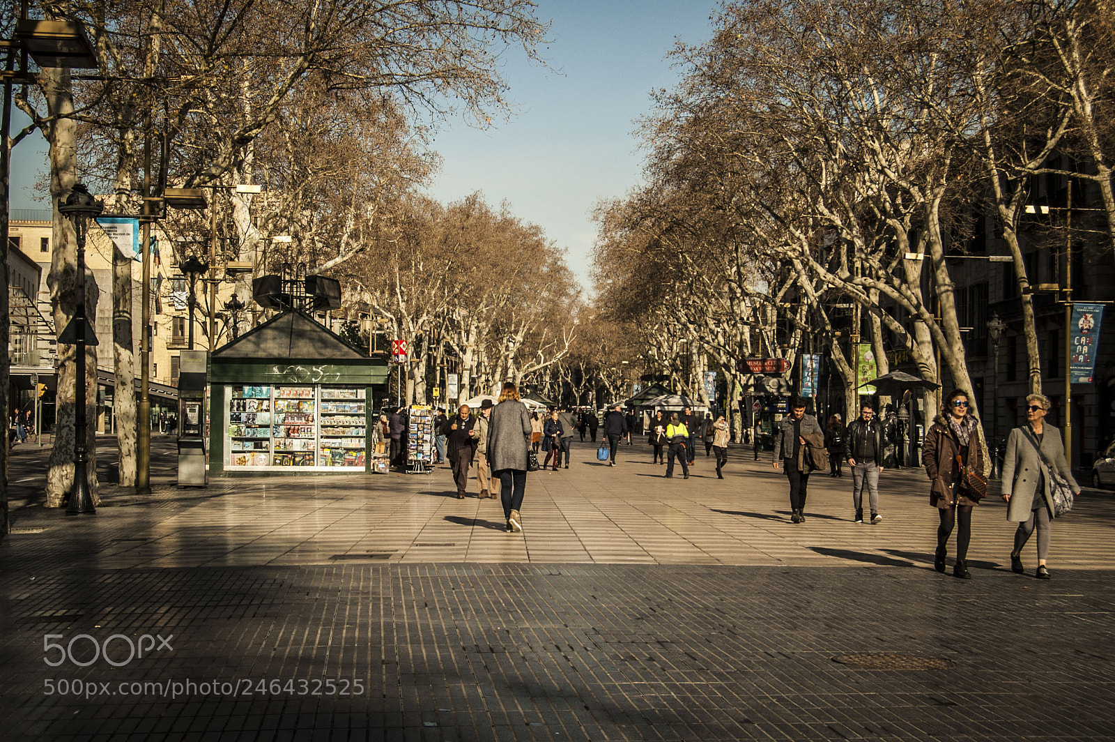 Nikon D40 sample photo. La rambla photography
