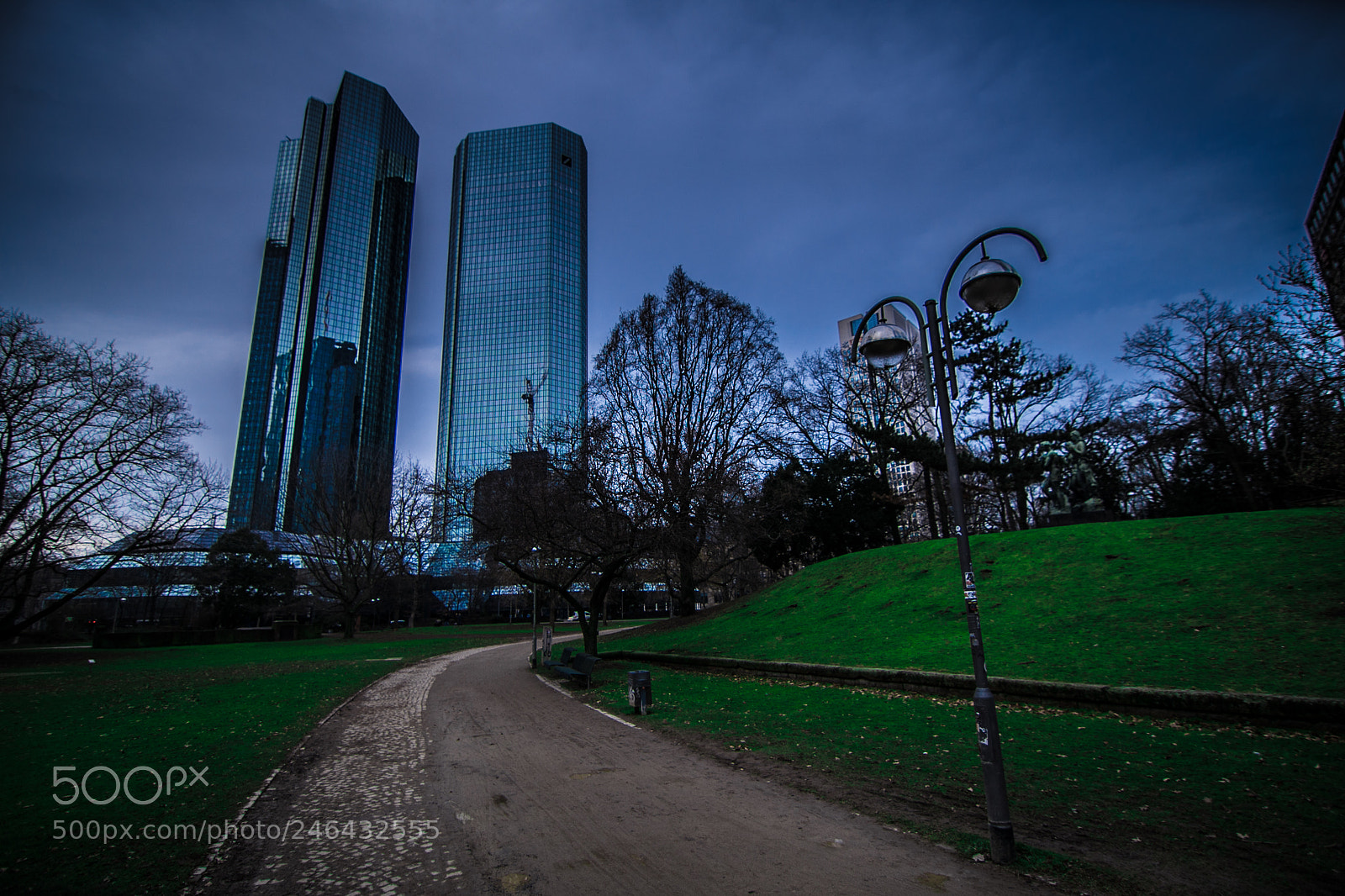 Nikon D610 sample photo. Twin's by the park photography