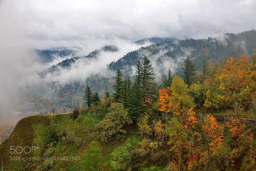 Canon EOS 50D sample photo. Gorge in the fall photography
