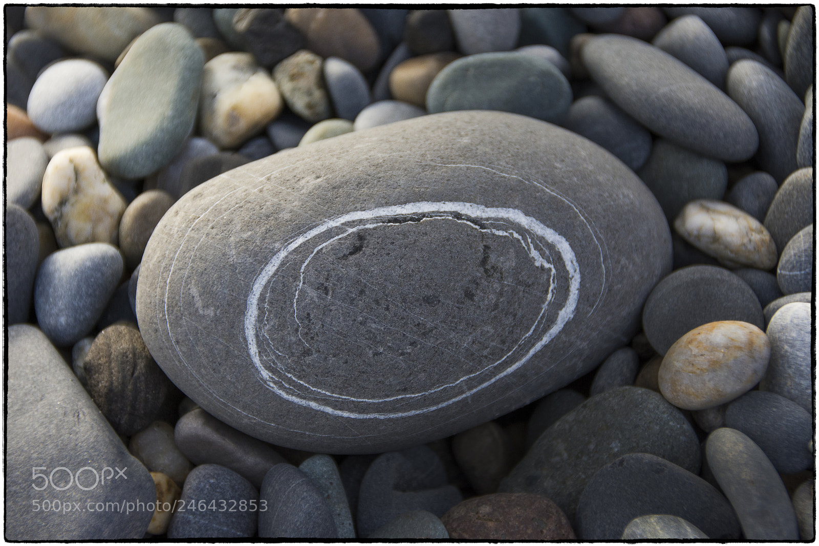 Nikon D7200 sample photo. Circles in stone photography
